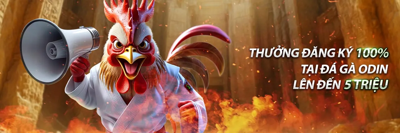 Sân vận động bóng đá với đèn pha sáng rực và logo AE3888